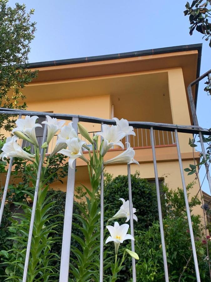 Villa Lucrezia - Dimora In Suvereto Suites&Apartments Extérieur photo