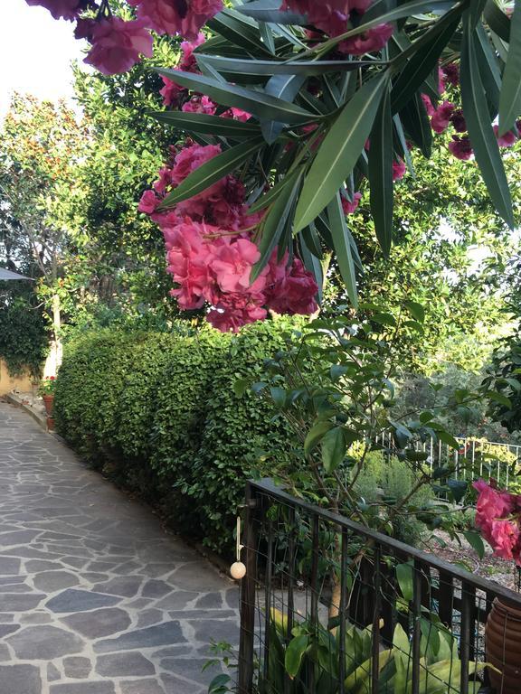 Villa Lucrezia - Dimora In Suvereto Suites&Apartments Extérieur photo