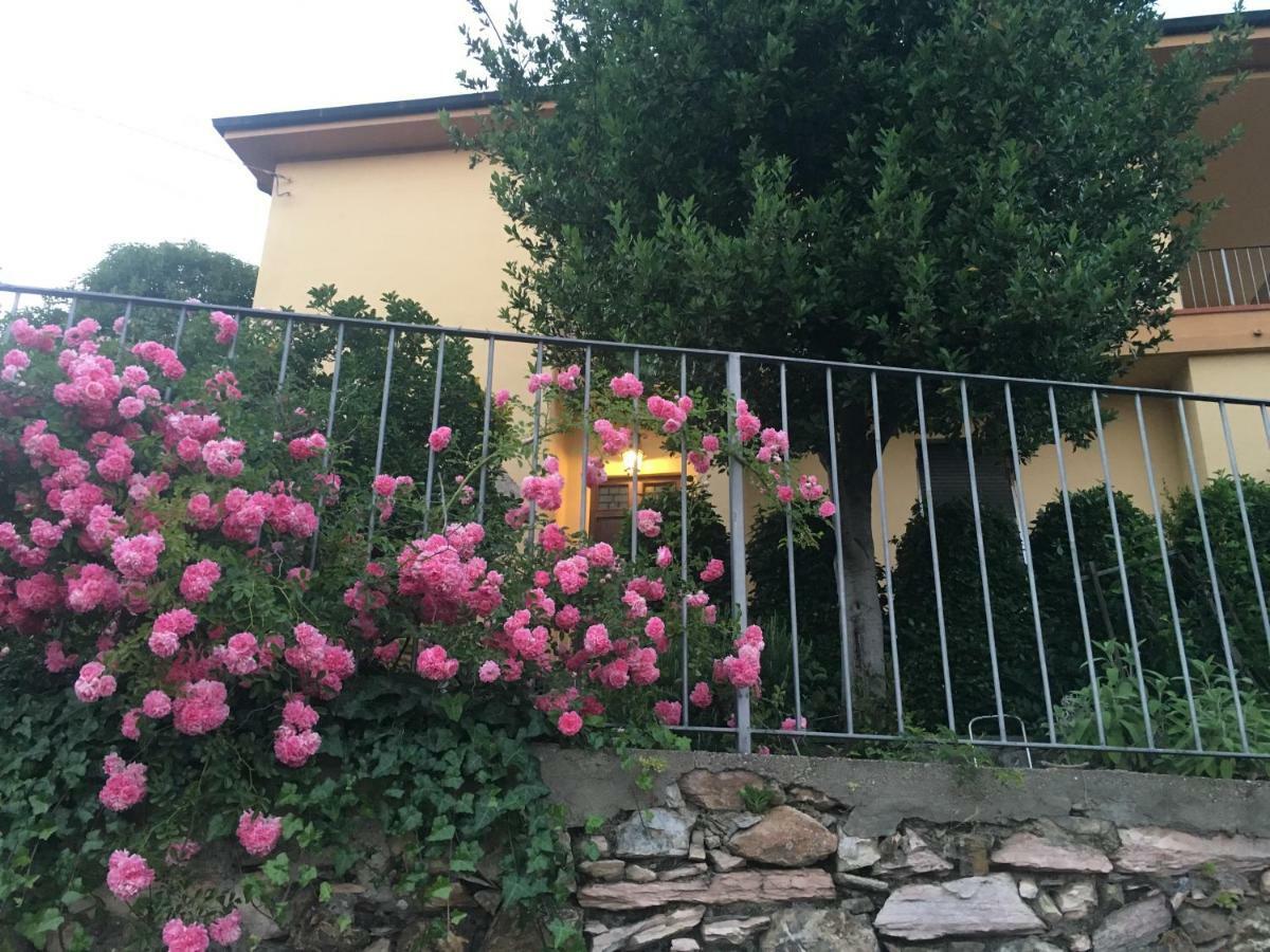 Villa Lucrezia - Dimora In Suvereto Suites&Apartments Extérieur photo